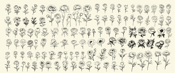 Minimalist botanical vector set of peonies in black line art for wedding logos, trendy greenery, hand-drawn wedding herbs, wedding invitations, decor, wedding branding, floral design.
