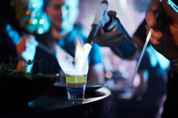 Bartender Preparing Cocktails at a Bar Counter
