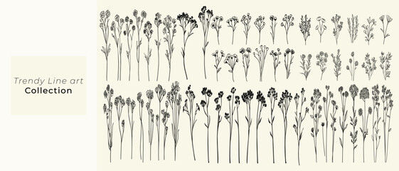 Minimalist black line art wild tansy, hand-drawn wildflowers, trendy greenery, feminine botanical floral branch, chic decor for rustic wedding invitations, logos, boho stationery, branding