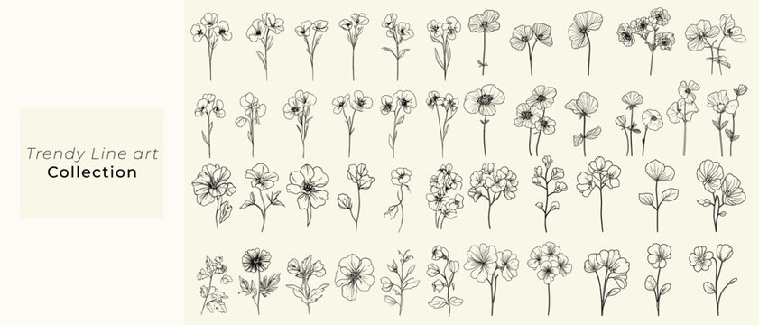Black line art of wild geranium for wedding logos, trendy greenery, feminine botanical floral branch, chic decor, boho-themed branding, hand-drawn wildflowers, personalized stationery