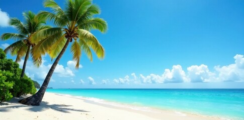 Obraz premium Majestic palms stand tall against a vibrant blue ocean, soft sand at their base , palm fronds, resort