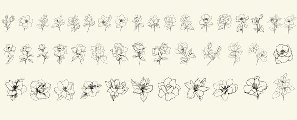 Trendy greenery set for luxury branding, minimalist black line art of gardenias for wedding invitations, hand drawn wedding herbs, feminine botanical floral branch decor.