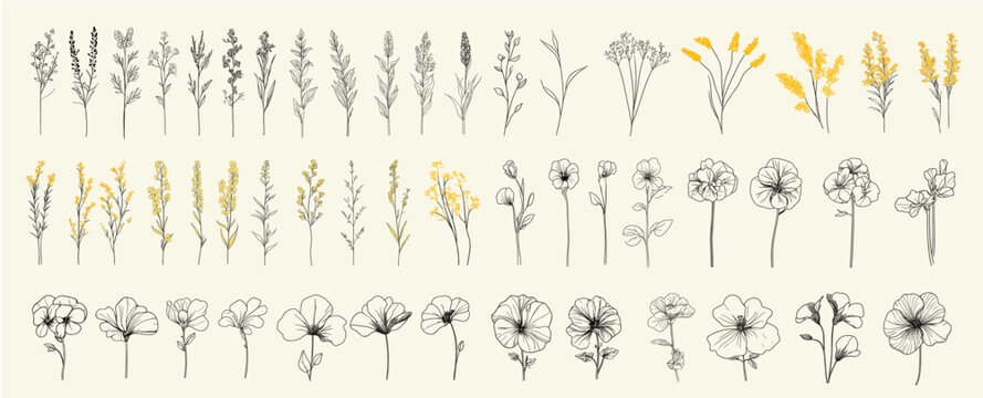 Minimalist black line art of goldenrod flowers for boho-themed branding, chic wedding stationery, trendy greenery, rustic wedding invitations, eco-conscious decor, feminine floral branch
