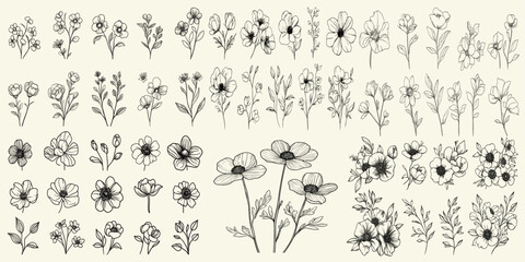 Feminine botanical floral branch, chic branding, wildflower collection, eco-friendly decor, trendy greenery, rustic wedding logos and invitations, personalized wedding stationery, wood anemone.