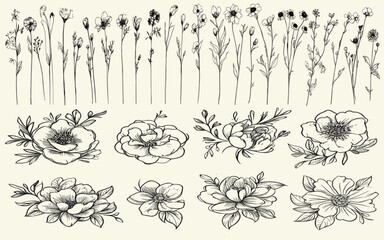 Feminine botanical floral branch with trendy greenery, ideal for eco-conscious decor, boho-themed branding, rustic wedding logos, invitations, chic wedding stationery, wildflowers, elegant design.