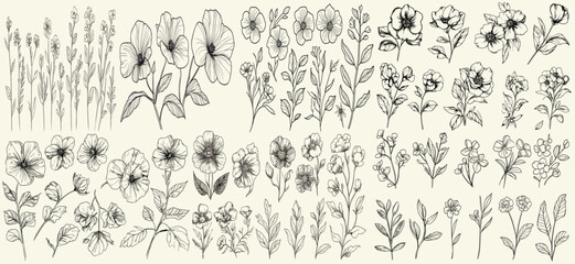 Feminine botanical floral branch, wild primrose line art, trendy greenery, wildflower collection, perfect for chic branding, eco-conscious wedding stationery, boho-themed decor, wedding logos