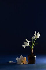 spring flowers in glass bottle on dark blue background