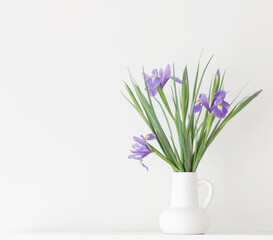 irises in white jug on white background