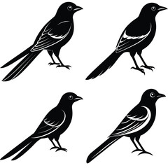 Stylized Drongo Silhouette Vector – Ideal for Digital & Print Use.