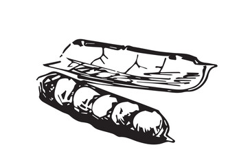 Hand drawn split peas vector illustration. 