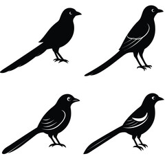 Stylized Drongo Silhouette Vector – Ideal for Digital & Print Use.