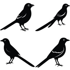 Elegant Drongo Silhouette Vector Icon – Perfect for Logos & Art.