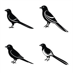 Elegant Drongo Silhouette Vector Icon – Perfect for Logos & Art.