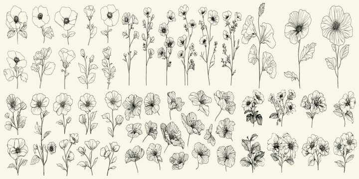 Chic wedding stationery with wild mallow flowers, black line art of hand-drawn wildflowers, botanical floral branch, trendy greenery, vintage invitations, personalized branding, eco-conscious decor.