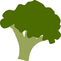 broccoli vegetable fresh food