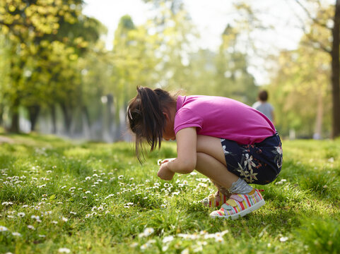 girl picking wildflowers