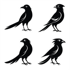 Drongo Bird Silhouette Vector Icon – High-Quality Download.