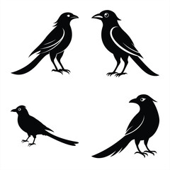 Drongo Bird Silhouette Vector Icon – High-Quality Download.