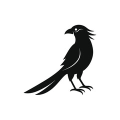 Download Drongo Bird Silhouette Vector – Crisp & Clean Design.