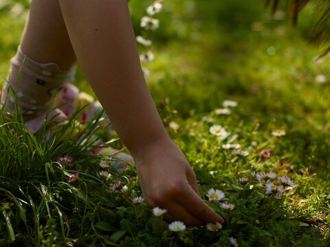 child picking flowers