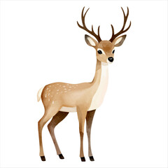 Cute little reindeer in watercolor painting style. Woodland deer. Watercolor reindeer.