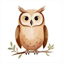 Cute little owl in watercolor painting style. Woodland owl. Watercolor owl.