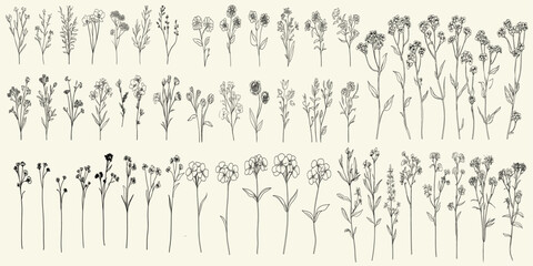 Elegant black line art of verbena flowers and greenery for wedding invitations, logos, and stationery, featuring hand-drawn herbs and floral branch illustrations, wedding branding.