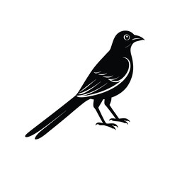Download Drongo Bird Silhouette Vector – Crisp & Clean Design.