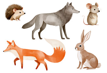 Obraz premium Fox, wolf, bunny, mouse, hedgehog. Watercolor woodland animals. Set of hand drawn wild forest animals.