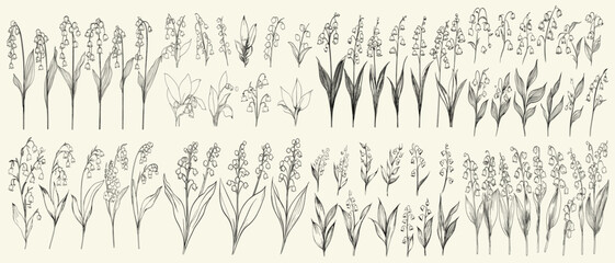 Black line art of lily of the valley botanical floral branch for wedding decor, feminine rustic greenery, hand drawn herbs for stationery and invitations, modern wedding ideas, botanical wedding decor