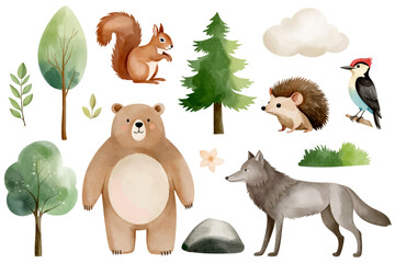 Naklejka premium Set of hand drawn forest animals. Bear, wolf, hedgehog, squirrel, woodpecker. Watercolor woodland animals.