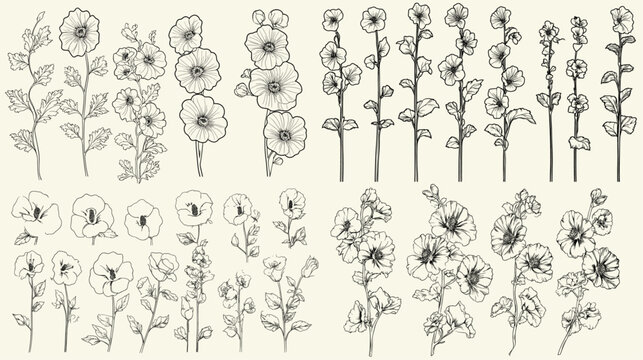 Elegant wedding logos with black line art of hollyhock flowers, botanical greenery set, hand drawn herbs for stationery, modern floral illustrations, wedding design ideas, custom wedding logos