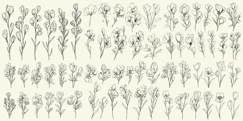 Black line art freesia flowers, hand drawn greenery, minimalist botanical floral branch for wedding decor, trendy greenery for luxury branding and designs, floral wedding stationery, elegant designs.