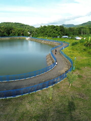 Fototapeta premium Aerial View of Green Fields Surrounding a Trapezoidal Pond in Rural Landscape