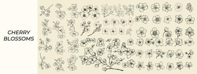 Feminine floral branding templates with botanical black line art cherry blossoms and greenery branches for stylish wedding invitations and trendy logo designs, wedding decor ideas.