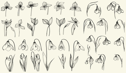 Black line art snowdrop flowers for wedding decor, minimalist botanical collection, hand-drawn herbs, elegant greenery for modern invitations, wedding branding, floral accents, simple wedding design.