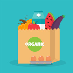 Bag of natural food, organic fruits and vegetable.Grocery purchases.Vector Illustration