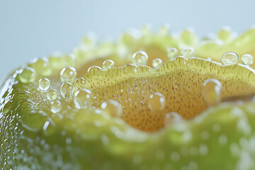 water drops on green leaf