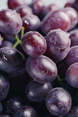 fresh plums on the market