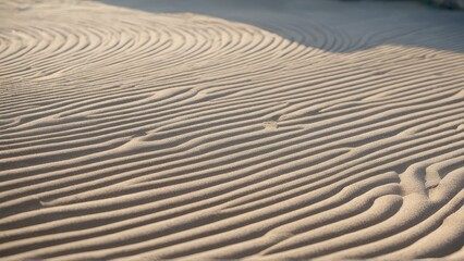  Serene patterns of wind-sculpted sand reveal nature's intricate artistry