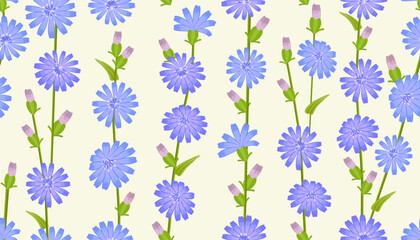 seamless texture with chicory wildflowers herbal plant. vector draw pattern with succory flowers