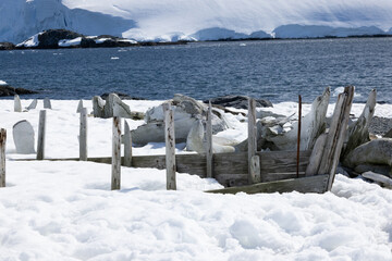 Old whale bones in Antarctica