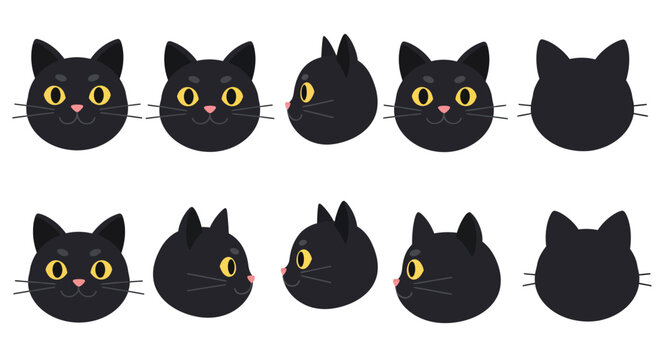 The black cat changes expressions and angles between the first and second frames, highlighting its playful nature.