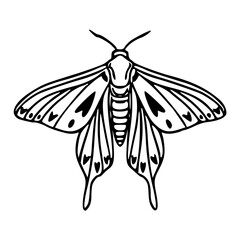 a black and white drawing of a butterfly for coloring pages