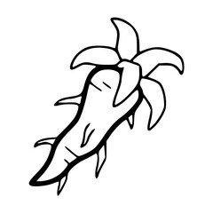 banana pepper hybrid vector illustration