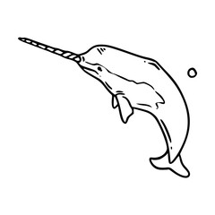 a black and white hand drawn of a narwhal for coloring pages © Zen20