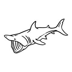 a black and white hand drawn of a shark for coloring pages