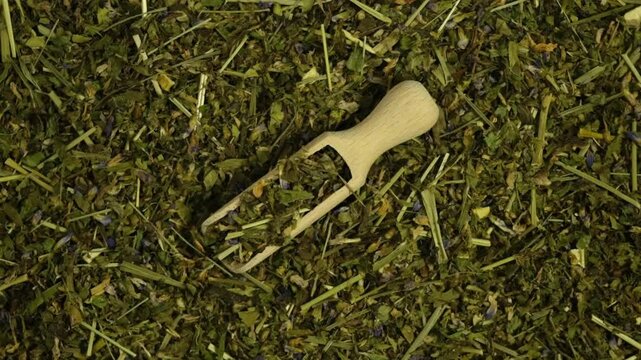 Dried plant of Galega orientalis in wooden scoop, top view. Herbal tea is used by diabetics. Eastern galega reduces the concentration of sugar in the blood. Video, slow motion, rotating.