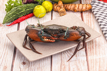 Wild raw crab for cooking