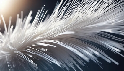 Optical fibers. Close up. 